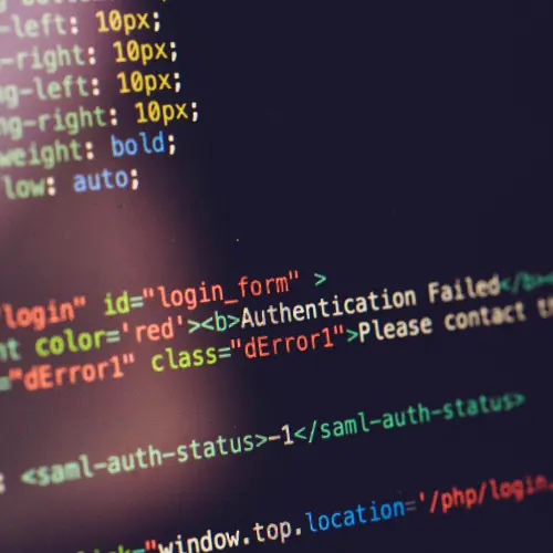 Custom Web Development Service Image 3