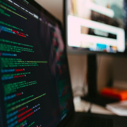 Custom Web Development Service Image 1
