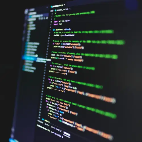 Custom Web Development Service Image 2